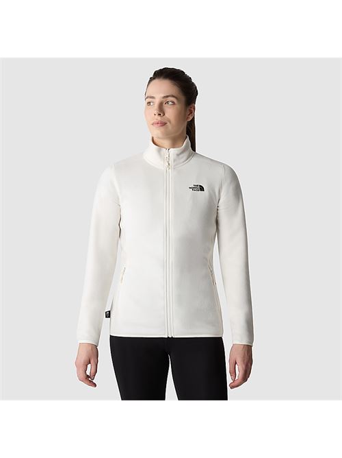 100 glacier fz THE NORTH FACE | NF0A855ON3N1